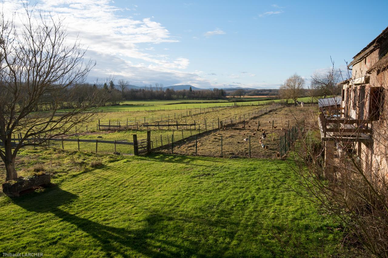 Ferme De Malo Bed and Breakfast Etrigny Buitenkant foto